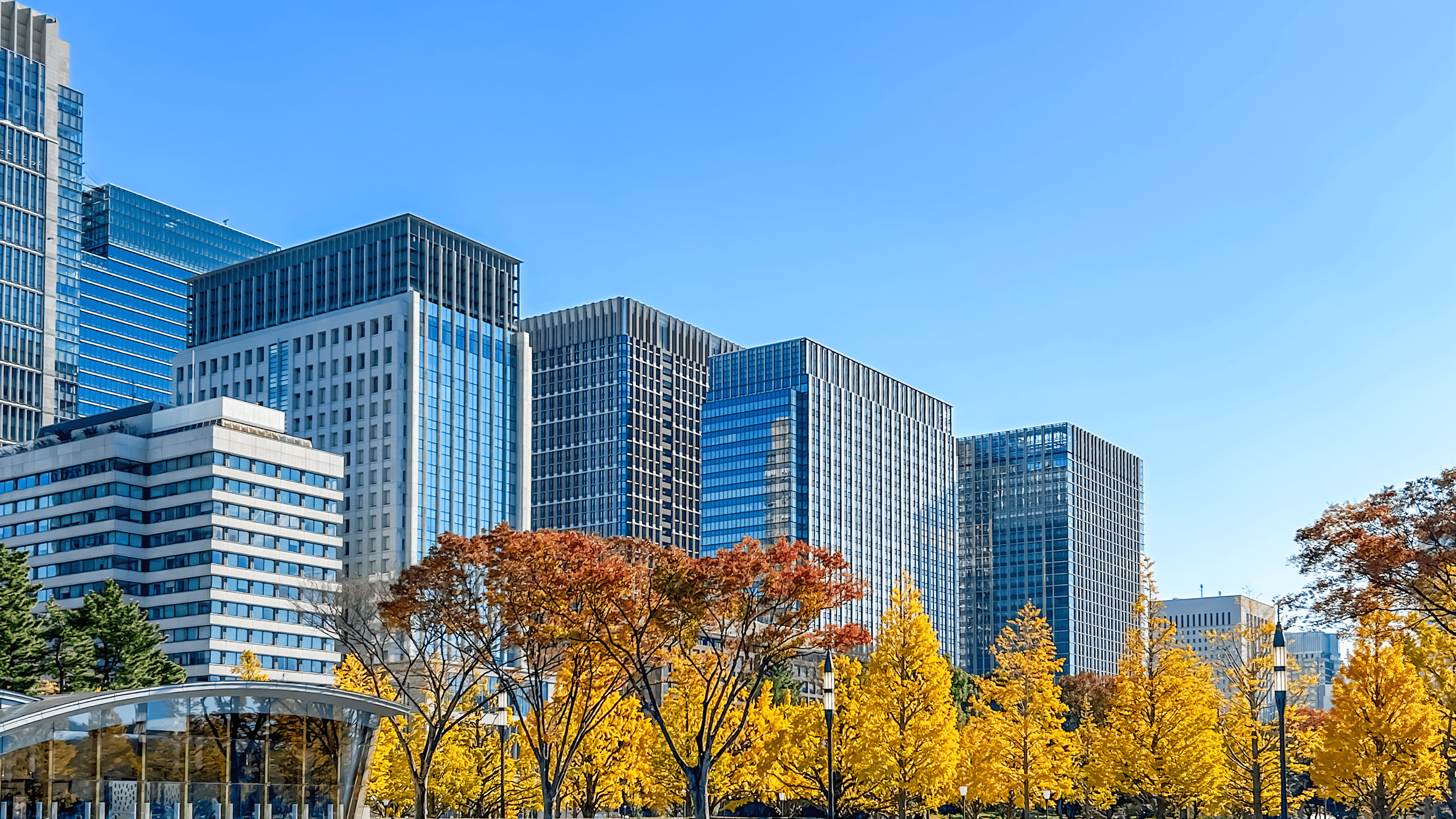 ページトップ画像 - ビルが立ち並ぶ東京の写真